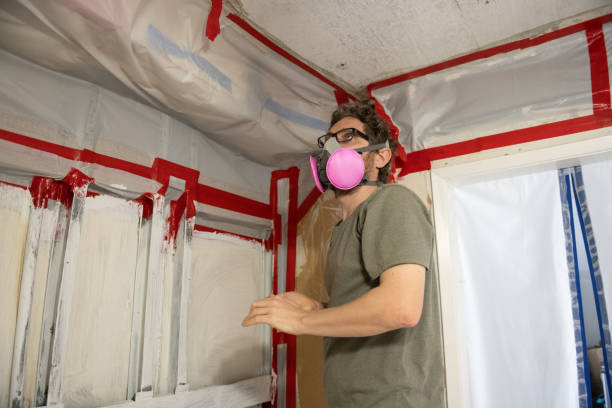 Best Air Quality Testing for Mold Spores  in Coal Grove, OH
